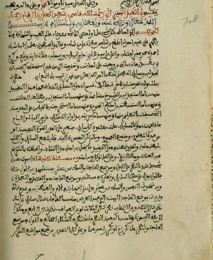 158-İlmir remil Mağribi. 48 sayfa arapça yazma