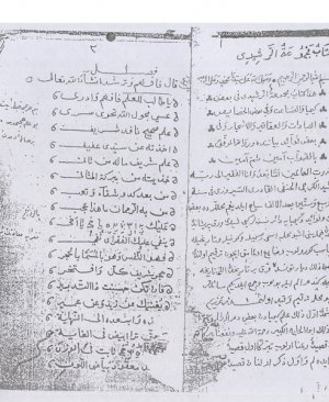 92-Mecmuatur reşidî Muhammed Reşidi Gurci arapça yazma 200 sayfa