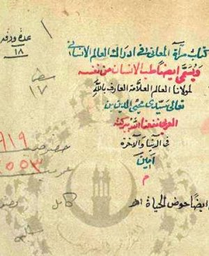 125-Miratul meâni Muhyiddin Arabi 35 sayfa arapça yazma