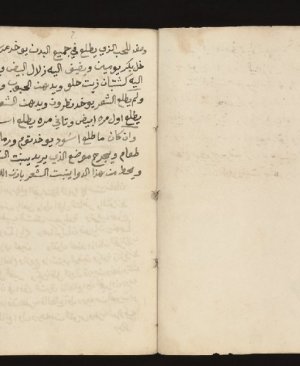 307-Elfelek ver rûhâniyyeh. 69 sayfa arapça yazma