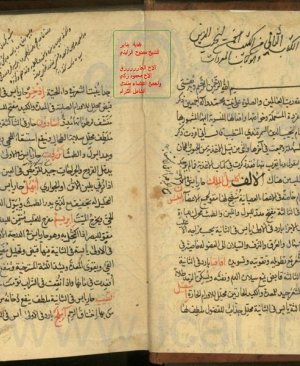 306-Elediyyetul mufredeh Semerkandi 451 sayfa arapca yazma