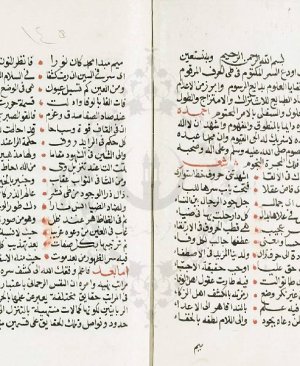 172-Risâleti fî ilmul cifr. Şeyh Muhammed Kadi. Hicri 1306 yılı. 156 sayfa arapça yazma