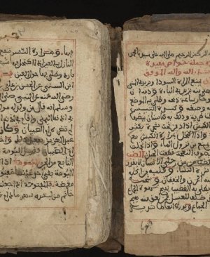 301-Cemeletul havas fil hayvan vet talasım vel ayat vel ediyye 205.sayfa arapça yazma