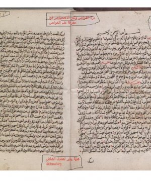 21-Kenzul ihtisas Ali Celdeki 353 sayfa. Hicri 1180 yılı arapça yazma