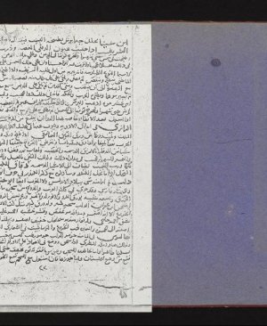 330-Mucemil nebâtât ve fevâidihâ 152.sayfa arapça yazma