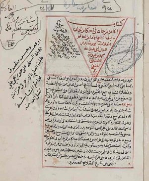 52-Akâmul mercân fî ahkâmul cân. Muhammed bin abdullah Eşşibli arapça yazma  300 sayfa. Hicri 1233 yılı