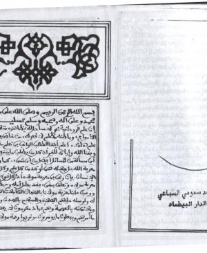 81-Erravzatuz zehrâ. Seyyid Muhammed Sebai arapça yazma  252 sayfa