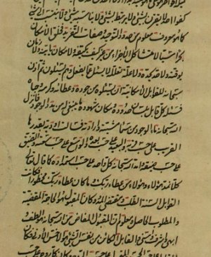 360-KIRMANI  (kervani) 194.sayfa arapça yazma